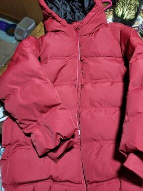 Zara Deep Red Jacket